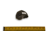 F 02268
<br/>
<br/>
<em></em>